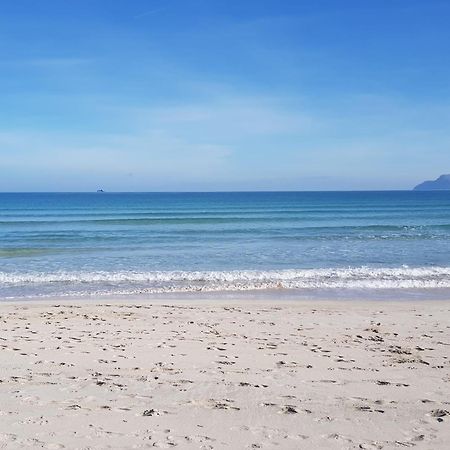 Ideal Property Mallorca - Barcares Nou Alcudia  Eksteriør billede